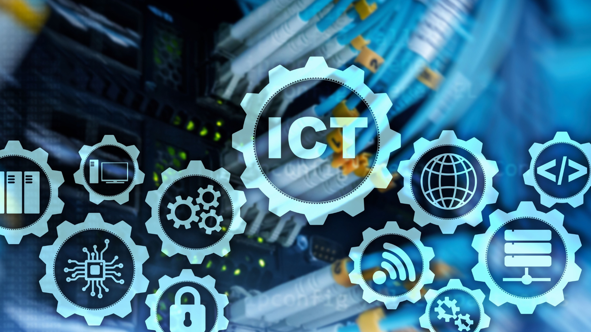 Information Technology Sector 