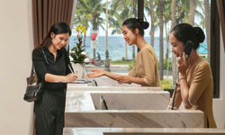 Tourism and Hospitality 